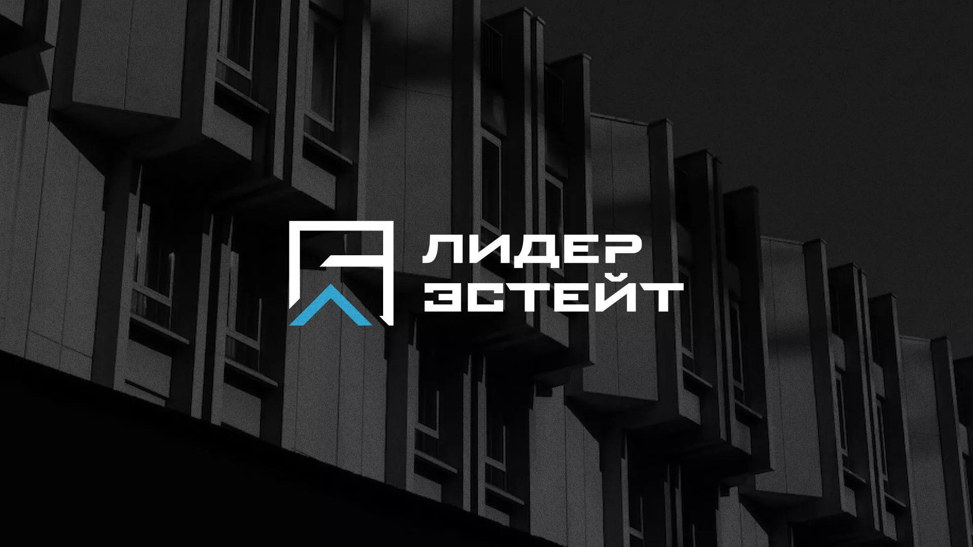 Разработка логотипа агентства недвижимости «Лидер Эстейт» в Высоцке